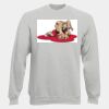 DryBlend® Adult Crewneck Sweatshirt Thumbnail