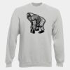 DryBlend® Adult Crewneck Sweatshirt Thumbnail