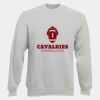 DryBlend® Adult Crewneck Sweatshirt Thumbnail