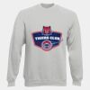 DryBlend® Adult Crewneck Sweatshirt Thumbnail