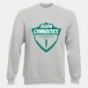 DryBlend® Adult Crewneck Sweatshirt Thumbnail