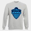 DryBlend® Adult Crewneck Sweatshirt Thumbnail