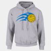 DryBlend®  Adult Hooded Sweatshirt Thumbnail