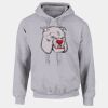 DryBlend®  Adult Hooded Sweatshirt Thumbnail