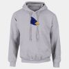 DryBlend®  Adult Hooded Sweatshirt Thumbnail