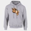 DryBlend®  Adult Hooded Sweatshirt Thumbnail