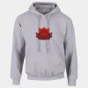 DryBlend®  Adult Hooded Sweatshirt Thumbnail