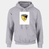 DryBlend®  Adult Hooded Sweatshirt Thumbnail