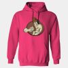 Heavy Blend™ Adult Hooded Sweatshirt Thumbnail