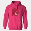 Heavy Blend™ Adult Hooded Sweatshirt Thumbnail