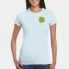 Softstyle® Ladies' T-Shirt Thumbnail