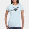 Softstyle® Ladies' T-Shirt Thumbnail