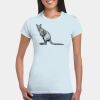 Softstyle® Ladies' T-Shirt Thumbnail